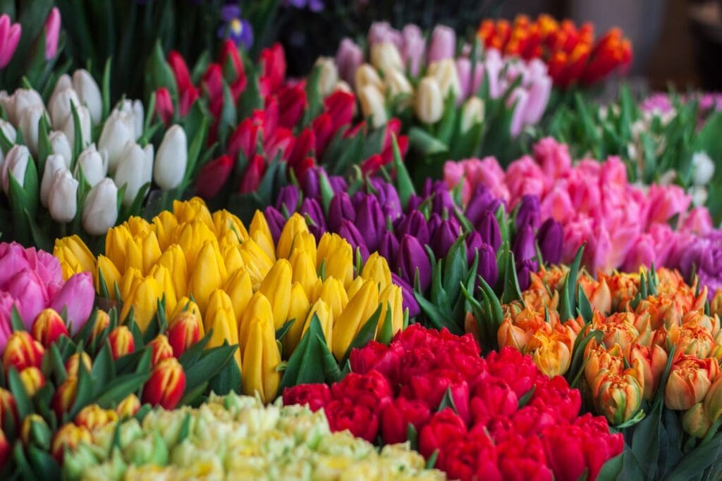 Spring into Summer! featured image
