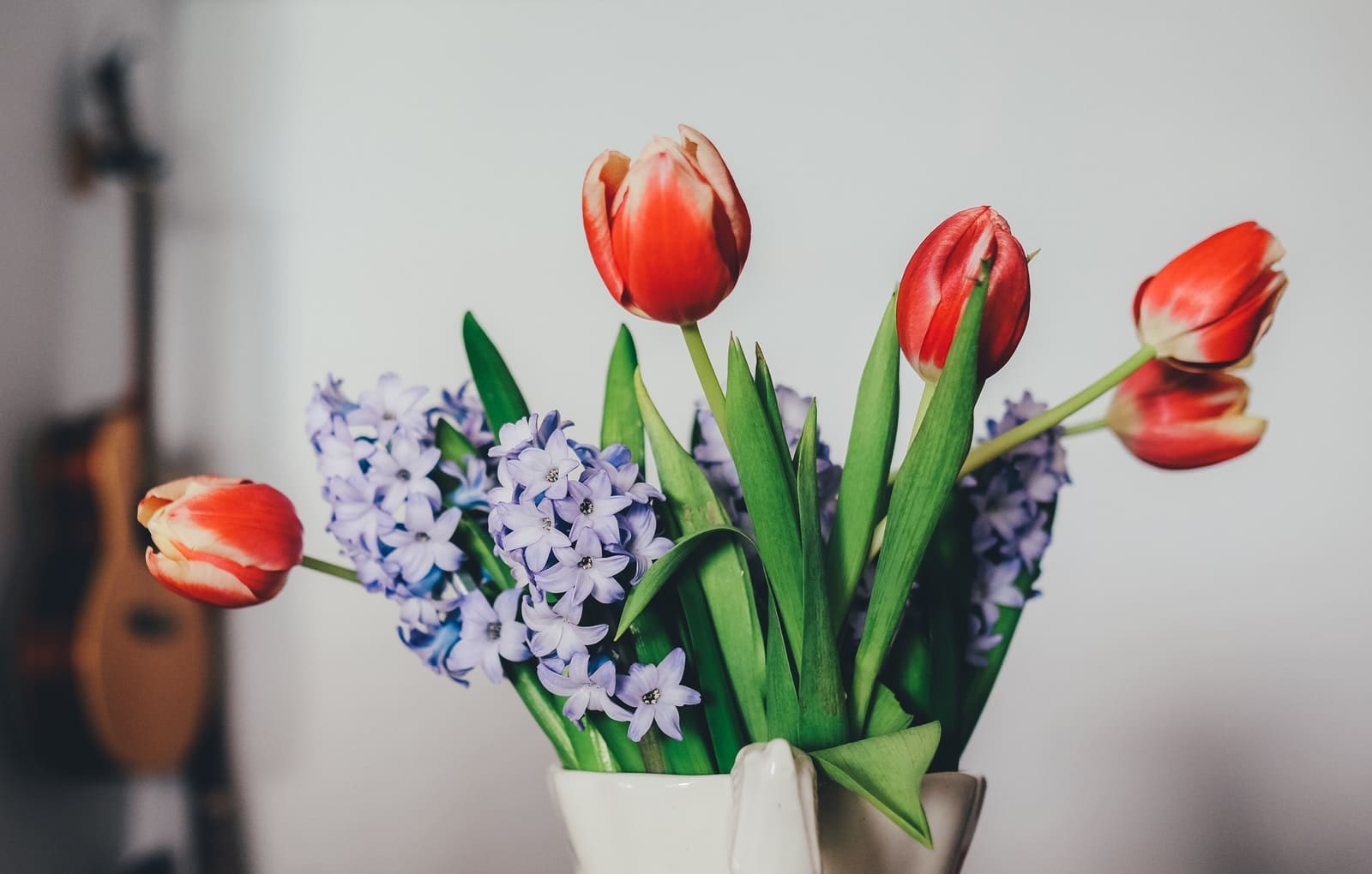 five red tulips