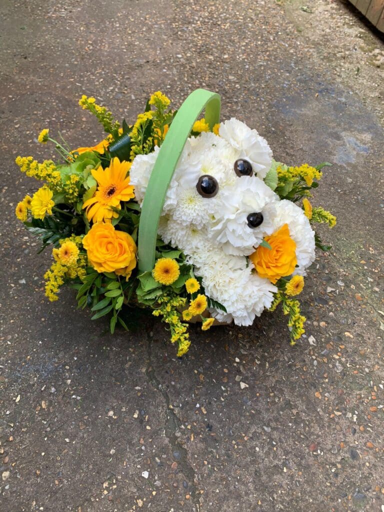 New Baby Flowers and Gifts in Eltham: Welcoming a New Arrival featured image