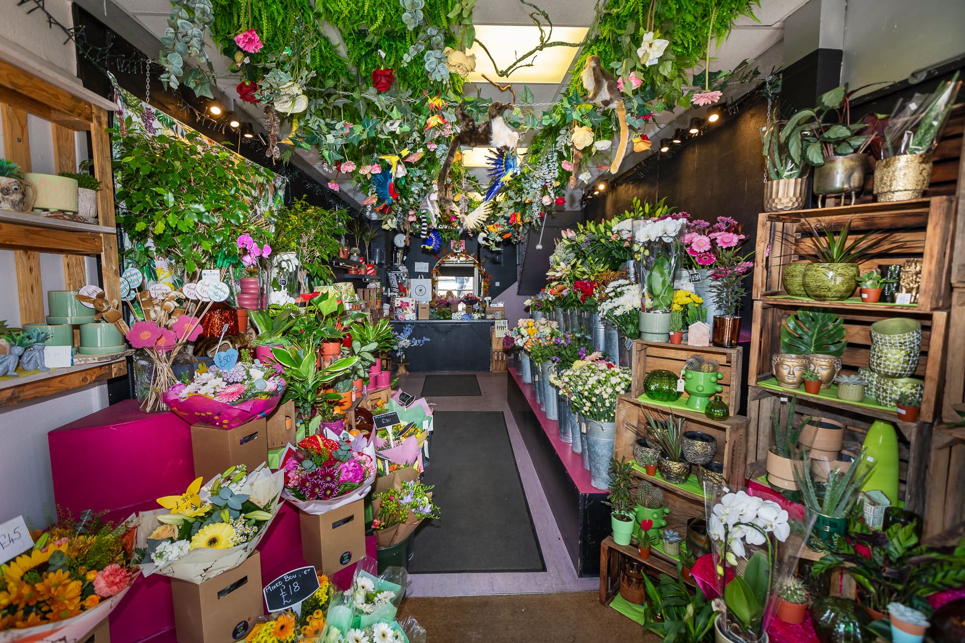 Florist Eltham